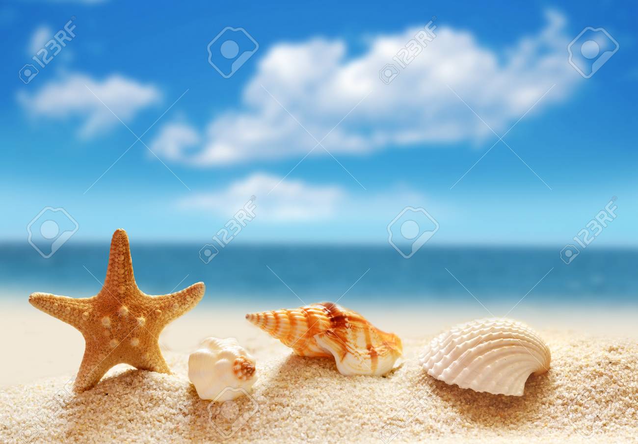 オーダー用】夏 海 砂浜